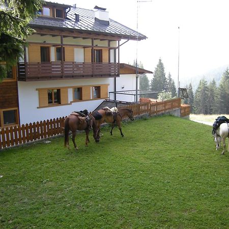 Hotel Piccolo Pocol Cortina d'Ampezzo Bagian luar foto