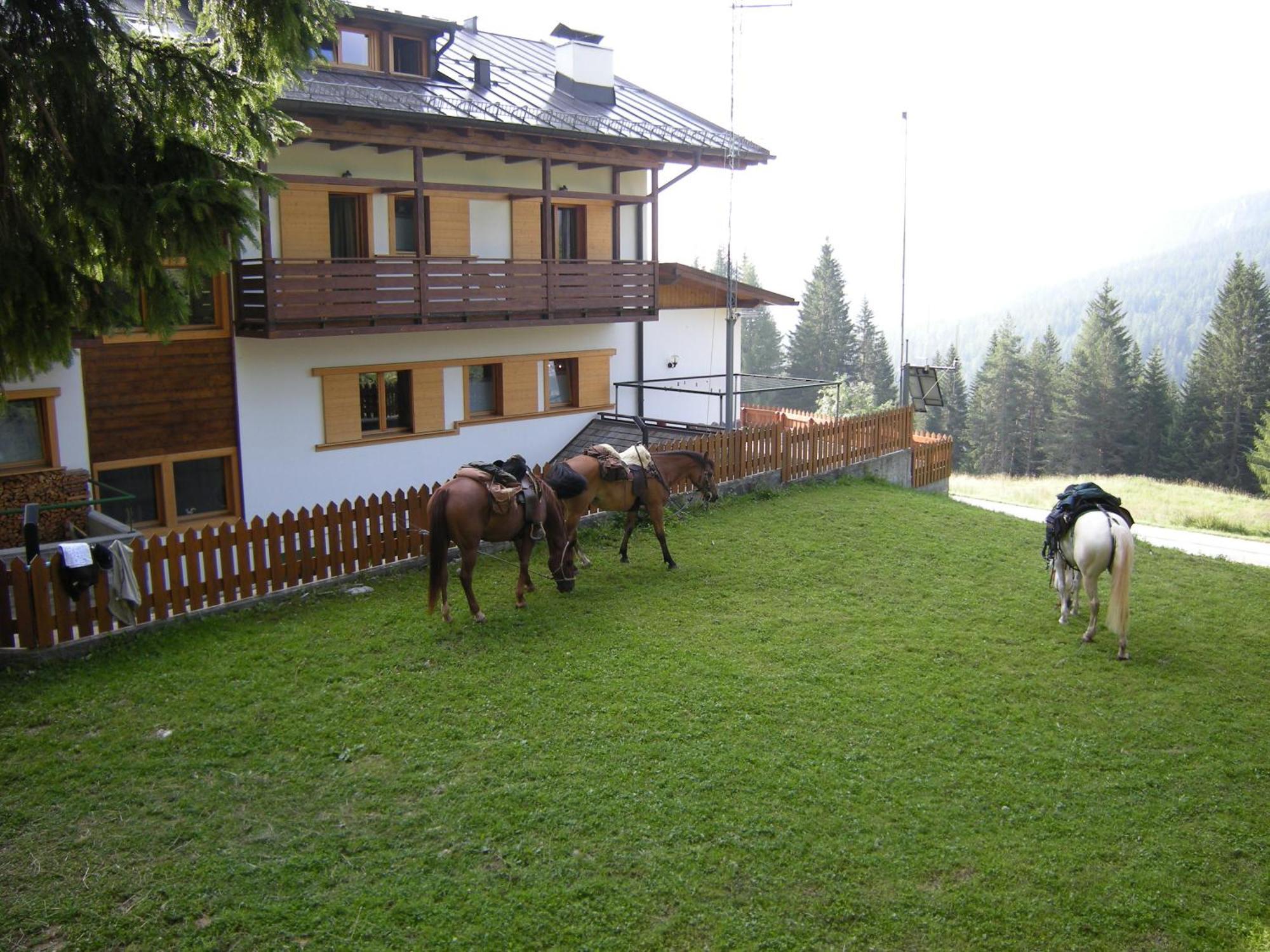 Hotel Piccolo Pocol Cortina d'Ampezzo Bagian luar foto